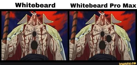 Whitebeard Whitebeard Pro Max – popular memes on the site iFunny.co #onepiece #animemanga # ...