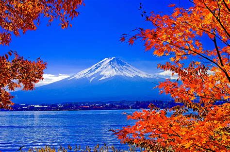 MOUNT FUJI in AUTUMN, mountain, autumn, nature, Fuji, branch, lake, HD wallpaper | Peakpx