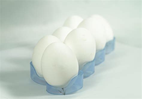 egg in egg tray close up on white background 6541321 Stock Photo at ...