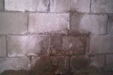 Basement wall crack repair using polyurethane and epoxy injection to fill and seal cracks