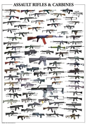 Assault Rifles & Carbines Poster | Armory Blog