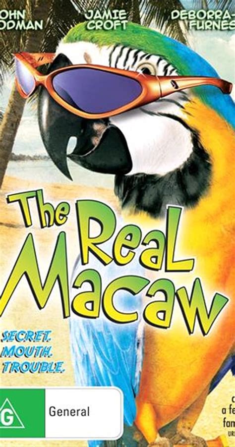 The Real Macaw (1998) - Plot Summary - IMDb