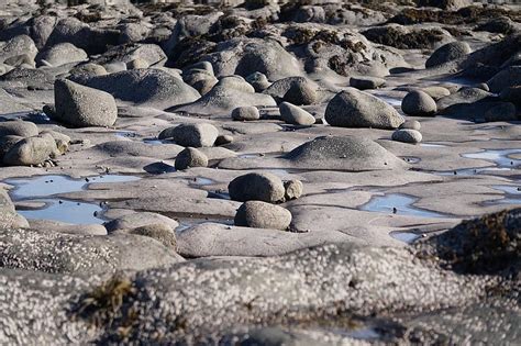 rocks, stones, beach, bay of fundy, gray, geology | Pikist