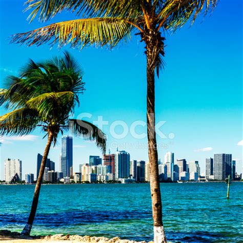 Miami Downtown Skyline Stock Photo | Royalty-Free | FreeImages