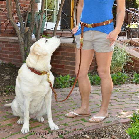 Leather Belt & Leash System - a custom hands-free belt with detachable leash