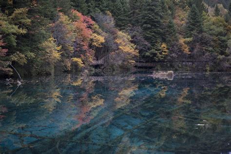 Fall Colors of Jiuzhaigou National Park | Smithsonian Photo Contest | Smithsonian Magazine