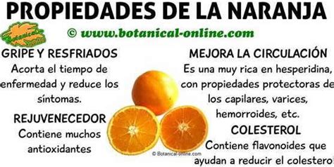 Propiedades de las naranjas | Propiedades de la naranja, Naranja ...