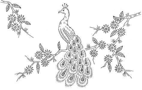 peacock | Embroidery patterns, Embroidery patterns vintage, Hand embroidery patterns