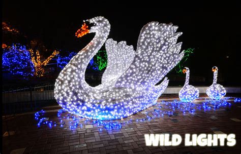 Wild Lights: St. Louis Zoo lights up for Christmas