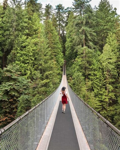 A Complete Guide to Capilano Suspension Bridge Park in Vancouver