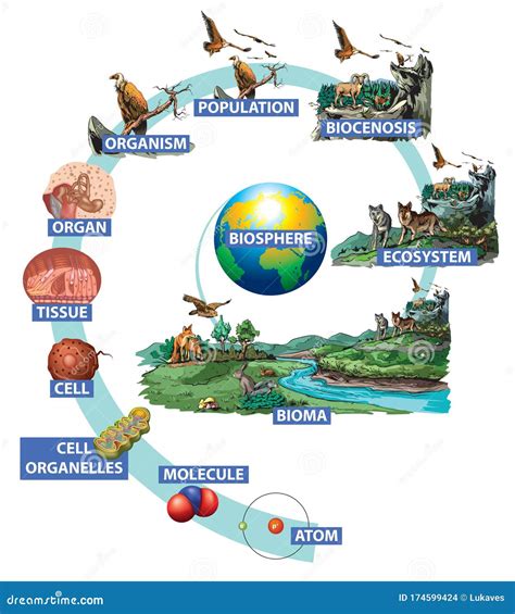 Worldbiosphere Clipart And Illustrations