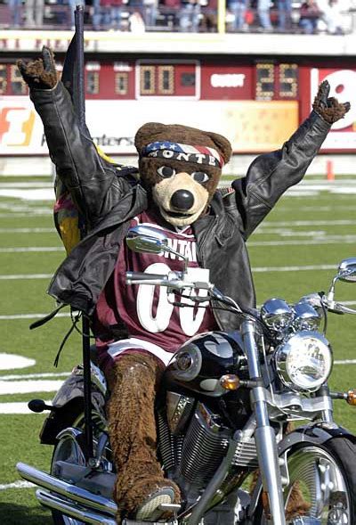 Monte - Mascot of The University of Montana. | Animal Mascot and Costumes