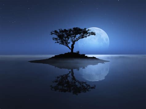 Blue Nature Wallpaper (73+ images)