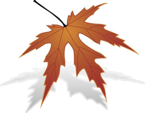 japanese maple leaf - Openclipart