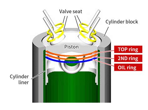 Piston Oil Rings