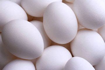 White Poultry Eggs at Best Price in Chennai | East Sun Exim Pvt. Ltd