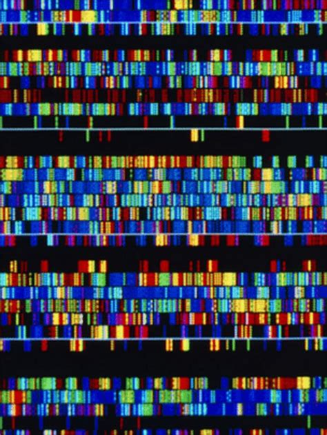 1000 Genomes project maps 95% of all gene variations - BBC News