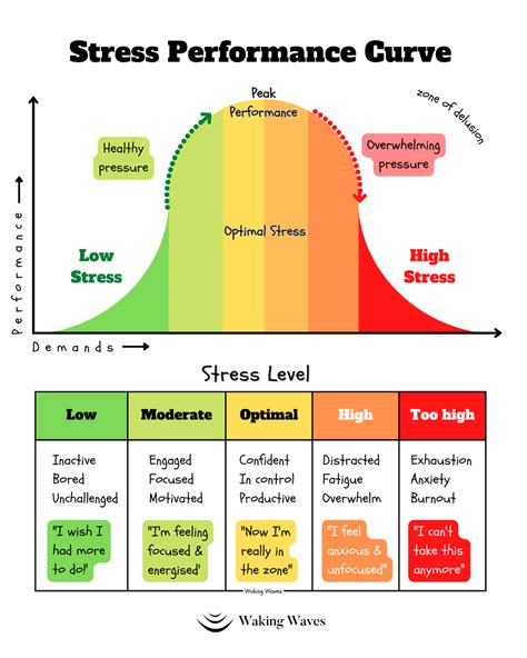 In the zone? Know your Optimal Stress levels for Performance — Waking Waves