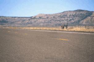 Tumbleweed GIF - Find & Share on GIPHY