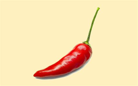 clip art chili pepper border - Clip Art Library
