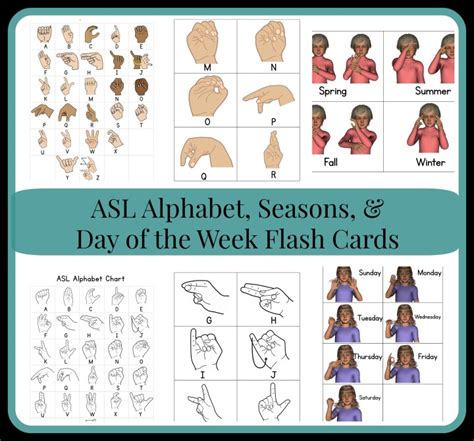 ASL Flash Cards | As They Grow Up