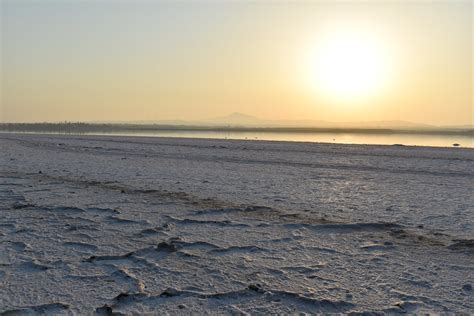 Larnaca Salt Lake, Larnaca, Cyprus | Salt fields of the Larn… | Flickr