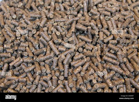 Sheep pellets hi-res stock photography and images - Alamy