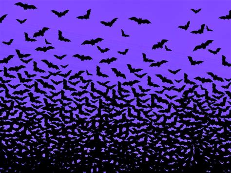 Halloween Bat Wallpapers - Wallpaper Cave
