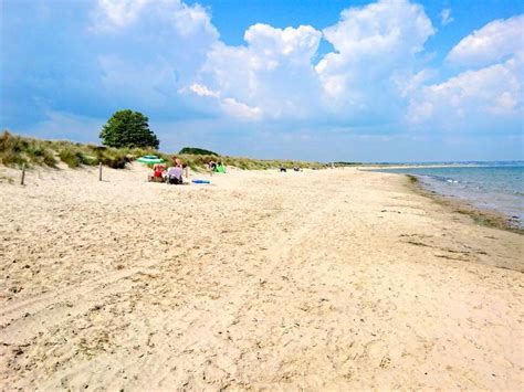 Can Dogs Go Studland Beach