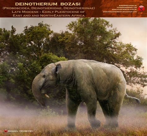 Deinotherium bozasi | Prehistoric wildlife, Prehistoric animals, Ancient animals