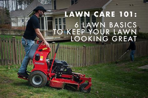 Coob's Landscaping | Lawn Care 101: 6 Lawn Basics To Keep Your Lawn ...