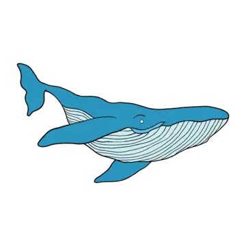Whale Flat Color Minimalist Design Vector, Whale, Minimalist, Ocean PNG and Vector with ...