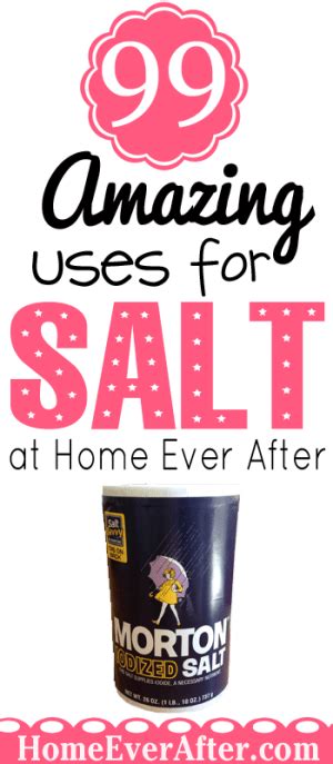 99 Amazing Uses for Salt! - Home Ever After