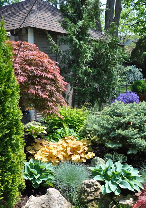 Three Dogs in a Garden: Heuchera Brighten Up any Spot in the Garden