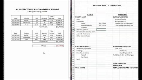 Prepaid Expenses and Balance Sheet - YouTube