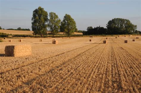 Large square straw bales © Philip Halling cc-by-sa/2.0 :: Geograph Britain and Ireland