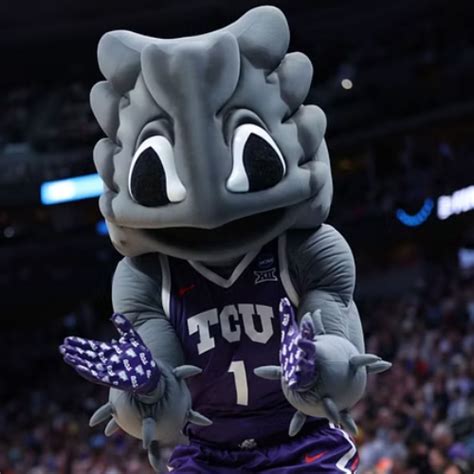 TCU Mascot, Name, Colors, Logo, History, Costume