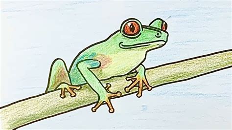 How to draw a green tree frog step by step | Frog drawing, Tree drawing ...