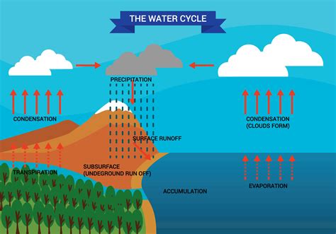 Water Cycle Diagram Vector 99516 Vector Art at Vecteezy