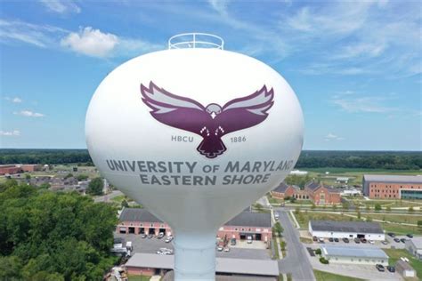 UMES unveils new logo, tagline as part of institutional rebrand ...