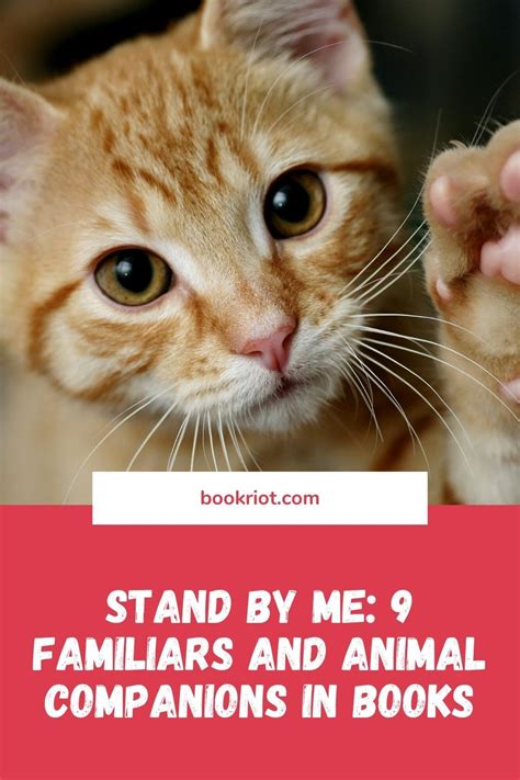 Stand By Me: 9 Familiars/Animal Companions in Literature