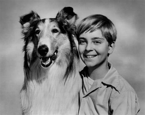 Lassie (1954 TV series) - Alchetron, the free social encyclopedia