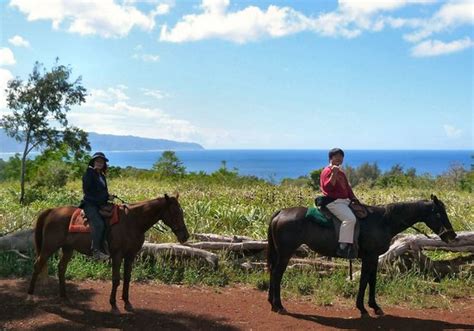 Happy Trails Horseback Riding | Kris' Hawaii Birthday Bash