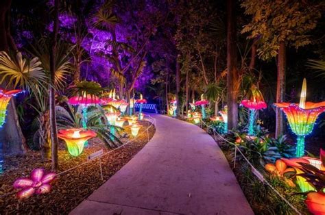 Luminosa Jungle Island In Florida Is The Holiday-Themed Light Up Event ...