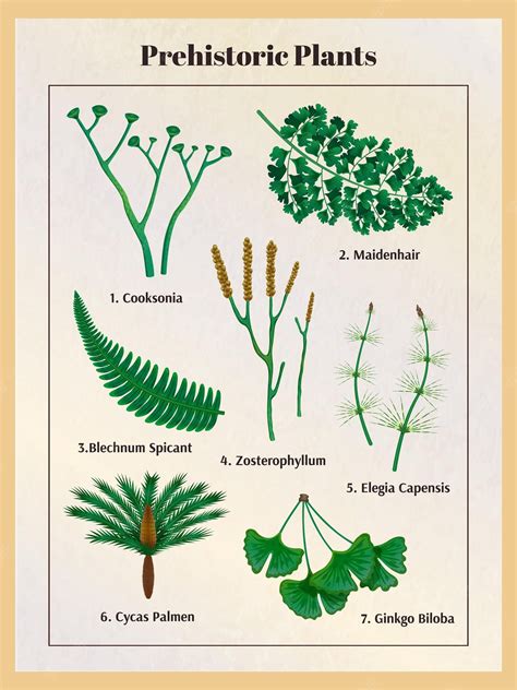 Premium Vector | Prehistoric plants botanical set with text captions and isolated images