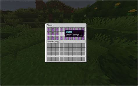 The Secrets of Shield Enchantments in Minecraft