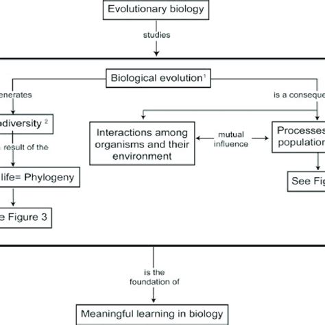 Concept map of evolutionary biology showing the two components of... | Download Scientific Diagram