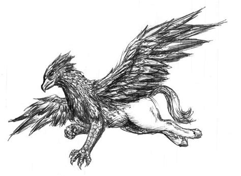 Hippogriff by Ciarra | Harry potter tattoo small, Chest tattoo, Picture ...