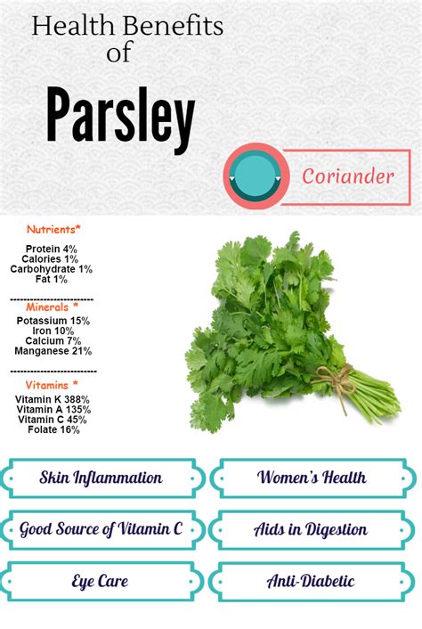 Benefits of Parsley in Hindi: Guno se Bharpur Hai Dhaniya