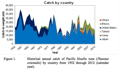 Overfishing has wiped out 96 percent of Pacific bluefin tuna - Vox